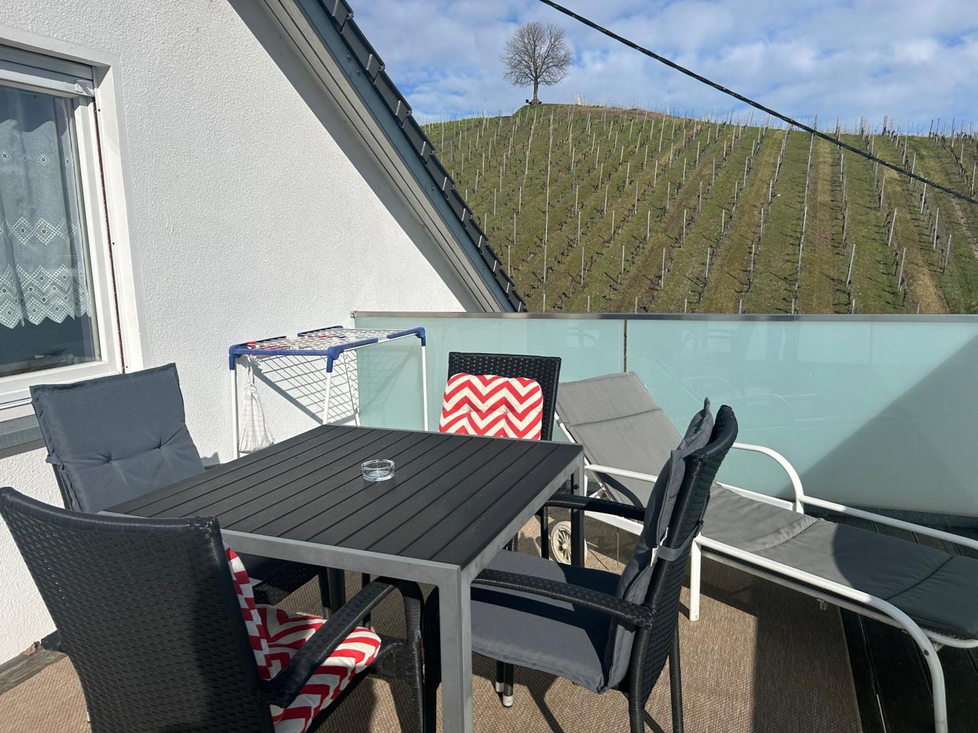 מיירסבורג Gaestehaus Sommertal Mit Pool Im Garten, Eigener Parkplatz, 800M Zum Bodensee, 300M Zur Altstadt מראה חיצוני תמונה